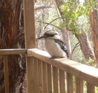 The Ledge Holiday House - Tourism Cairns