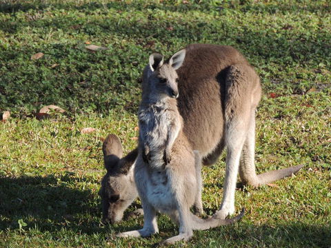 The Pouch B & B - Tourism Cairns 2