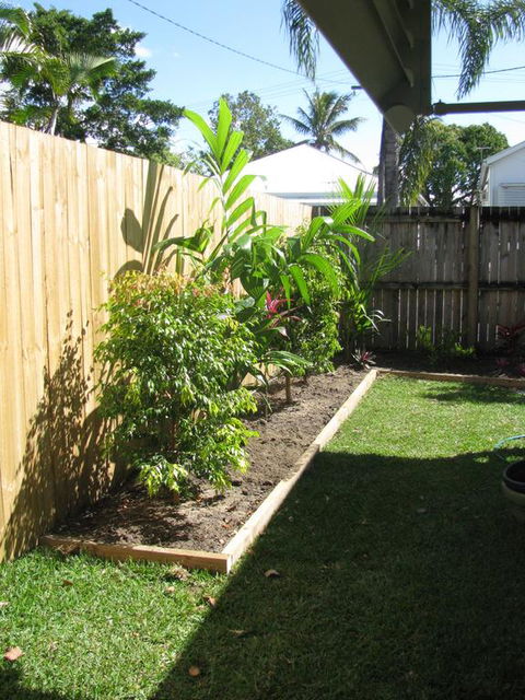 The Red Sparrow - Tourism Cairns 3