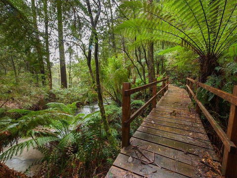 The Source, Otways - Tourism Cairns 0
