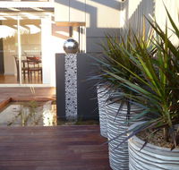 The Wet Lizard - Tourism Cairns