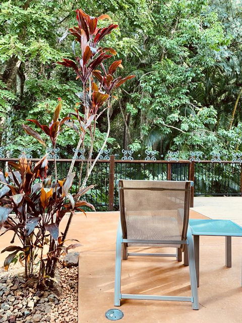 Tranquil Setting In Buderim - Tourism Cairns 3