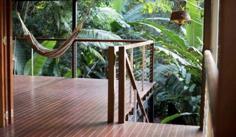 Treetops Retreat Cairns - Tourism Cairns 1