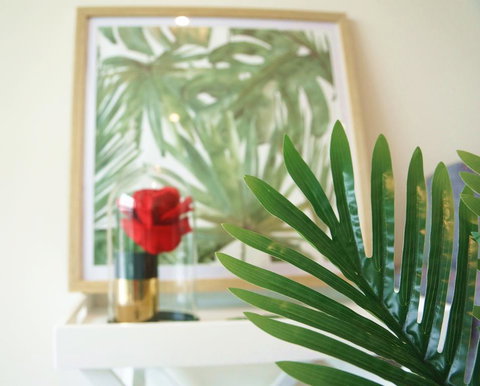 Tropical Delight 1 Bedroom Apt - Tourism Cairns 0