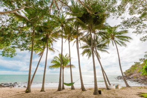 Turtle Cove Beach Resort - Adults Only LGBTQIA & Allies - Tourism Cairns 3