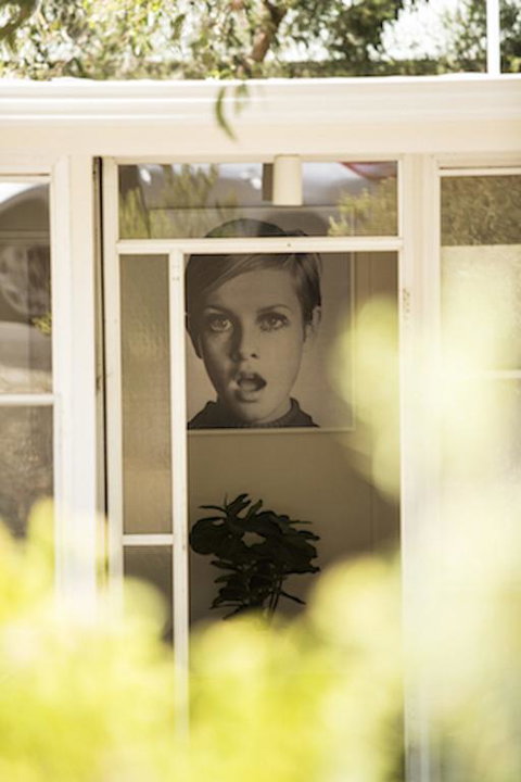 Twiggy @ Anglesea - Tourism Cairns 3