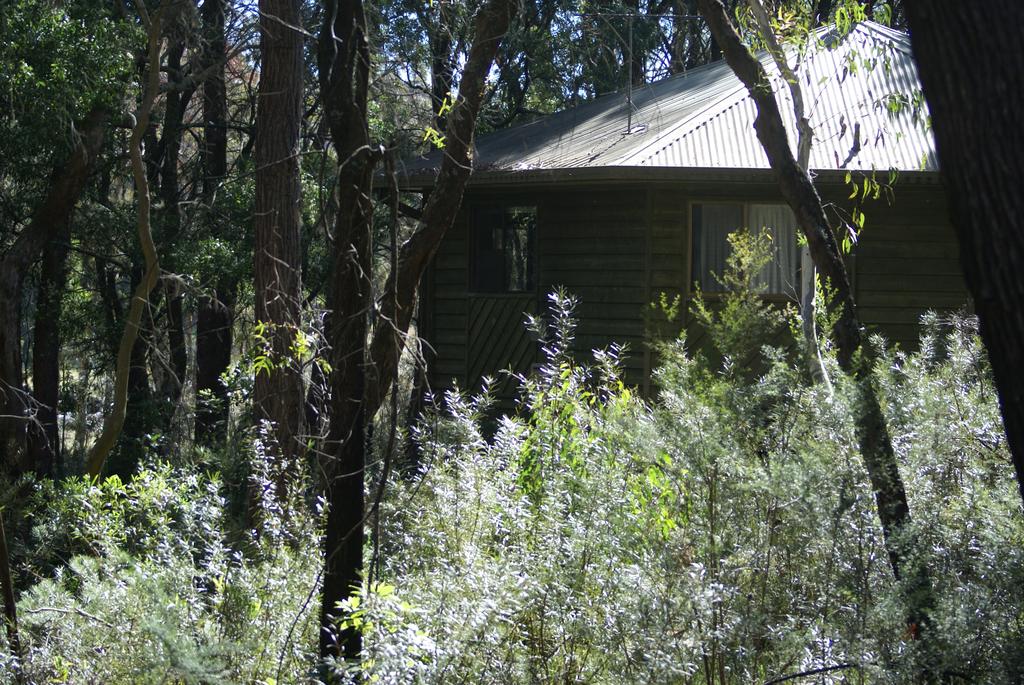 Fitzroy Falls NSW Tourism Cairns