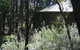 Twin Falls Bush Cottages - thumb 0