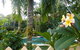 Villa Marine Holiday Apartments Cairns - thumb 1
