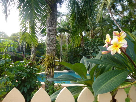 Villa Marine Holiday Apartments Cairns - Tourism Cairns 1