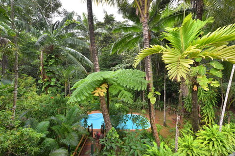 Wait A While Daintree - Tourism Cairns 3