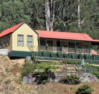 Walhalla Wild Cherry - Tourism Cairns