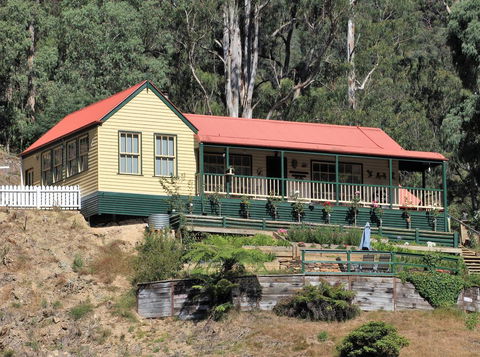 Walhalla Wild Cherry - Tourism Cairns 0
