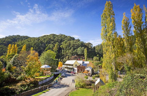 Walhalla's Star Hotel - Tourism Cairns 0