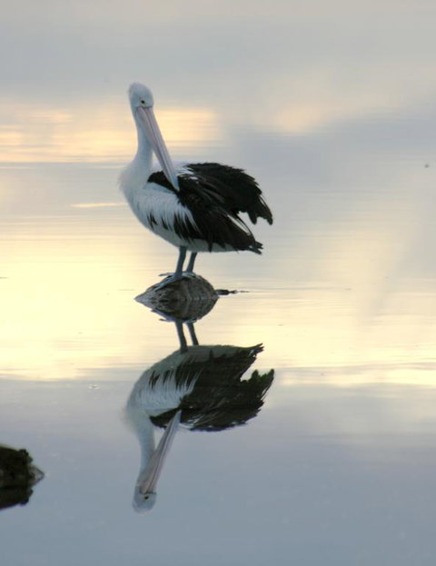 Wanderers Rest Of Kangaroo Island - Tourism Cairns 3