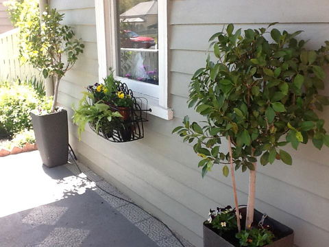 Redruth Cottage - Tourism Cairns 19