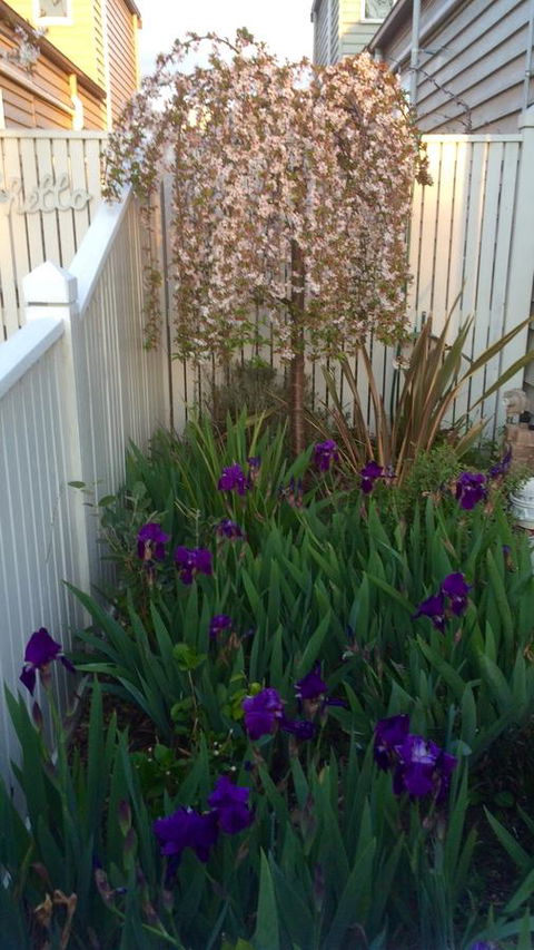 Redruth Cottage - Tourism Cairns 24