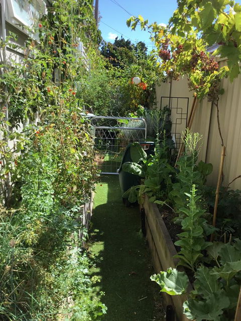 Redruth Cottage - Tourism Cairns 7