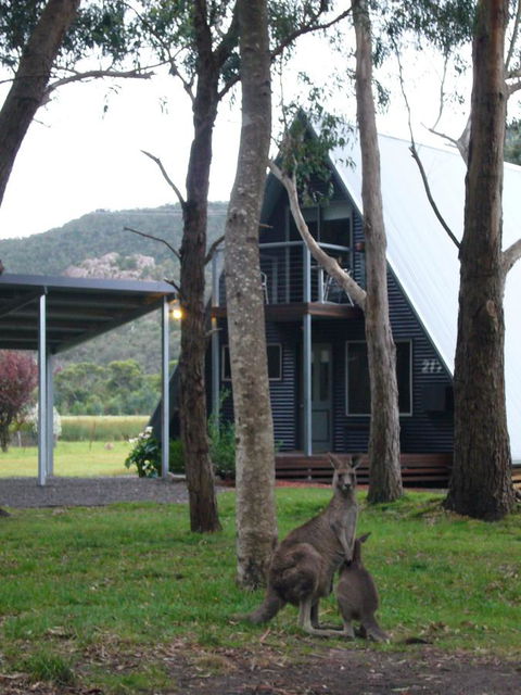 The A-Frame - Tourism Cairns 1