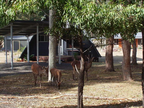The A-Frame - Tourism Cairns 13