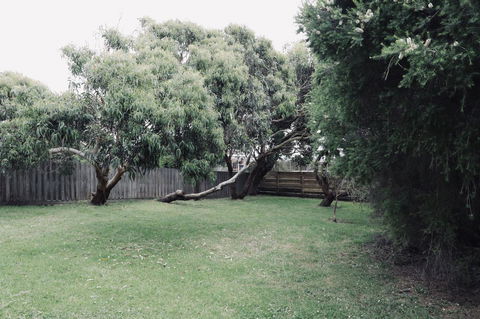 Red Ceder Cottage - Great Ocean Road - Port Campbell - Tourism Cairns 24