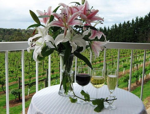 Waybourne- Vineyard And Winery - Tourism Cairns 10