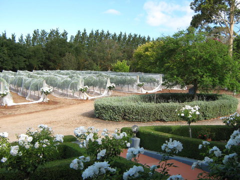 Waybourne- Vineyard And Winery - Tourism Cairns 5