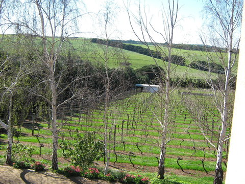 Waybourne- Vineyard And Winery - Tourism Cairns 2