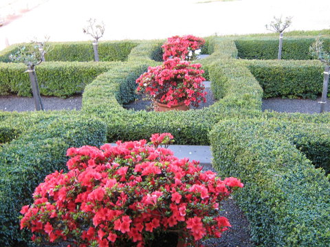 Waybourne- Vineyard And Winery - Tourism Cairns 4