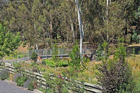 Main Lead Ballarat Motel - Tourism Cairns 5