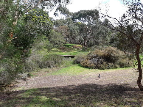 Elevated Holiday House Overlooks Tranquil Wetlands - Tourism Cairns 11