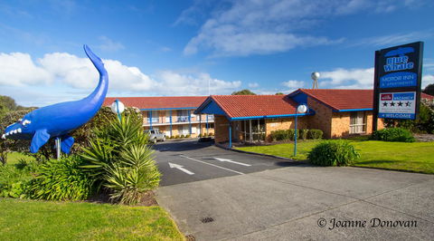 Blue Whale Motor Inn & Apartments - Tourism Cairns 0