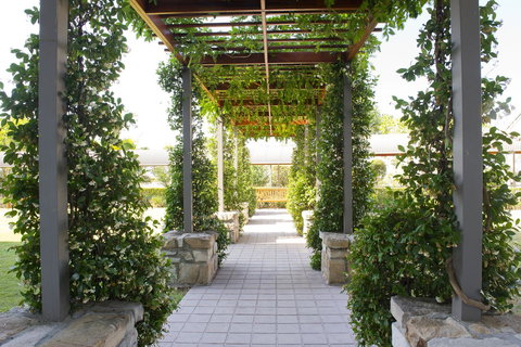 Mercure Clear Mountain Lodge - Tourism Cairns 11