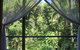 Silky Oaks Lodge - thumb 3