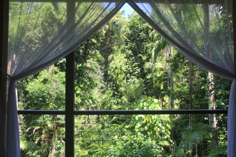 Silky Oaks Lodge - Tourism Cairns 3