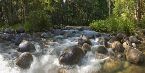 Silky Oaks Lodge - Tourism Cairns 20