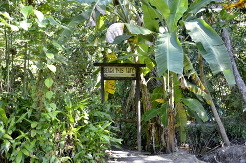 PK\'s Jungle Village - Tourism Cairns 23