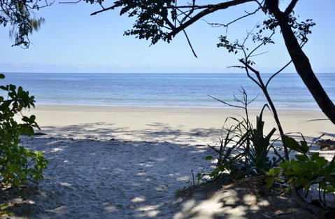 PK\'s Jungle Village - Tourism Cairns 26