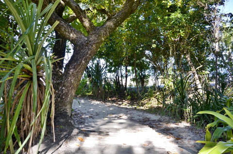 PK\'s Jungle Village - Tourism Cairns 28