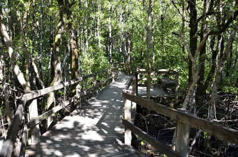 PK\'s Jungle Village - Tourism Cairns 32