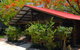 PK\'s Jungle Village - thumb 10