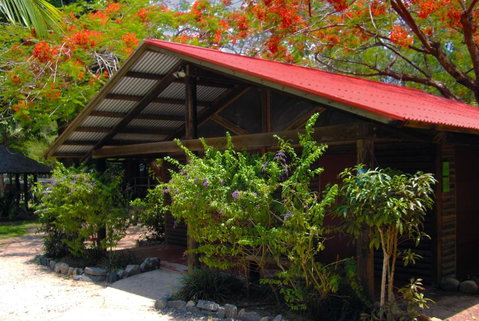 PK\'s Jungle Village - Tourism Cairns 10