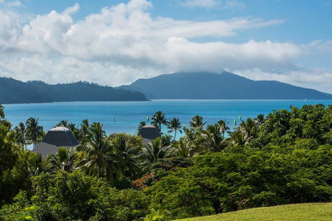 Beach Lodges - Tourism Cairns 35