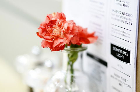 Madison Plaza Townsville - Tourism Cairns 20