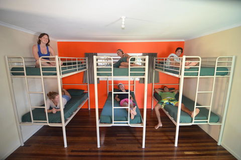 Backpackers In Paradise 18-35 Hostel - Tourism Cairns 21