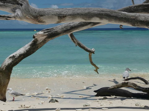 Tranquility By The Course Port Douglas - Tourism Cairns 18
