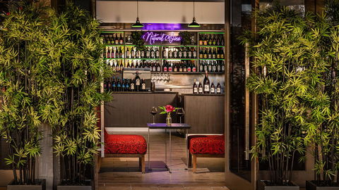 Cairns Harbourside Hotel - Tourism Cairns 25
