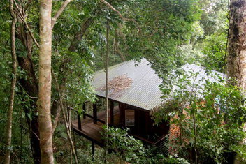 Cairns Rainforest Retreat with Tourism Cairns