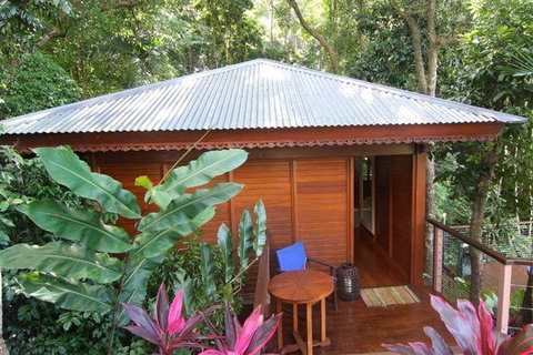 Cairns Rainforest Retreat - Tourism Cairns 5