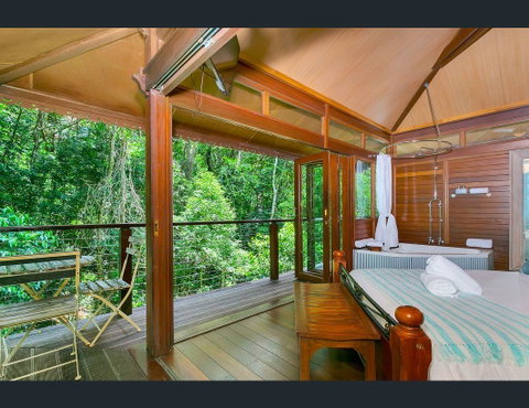 Cairns Rainforest Retreat - Tourism Cairns 8